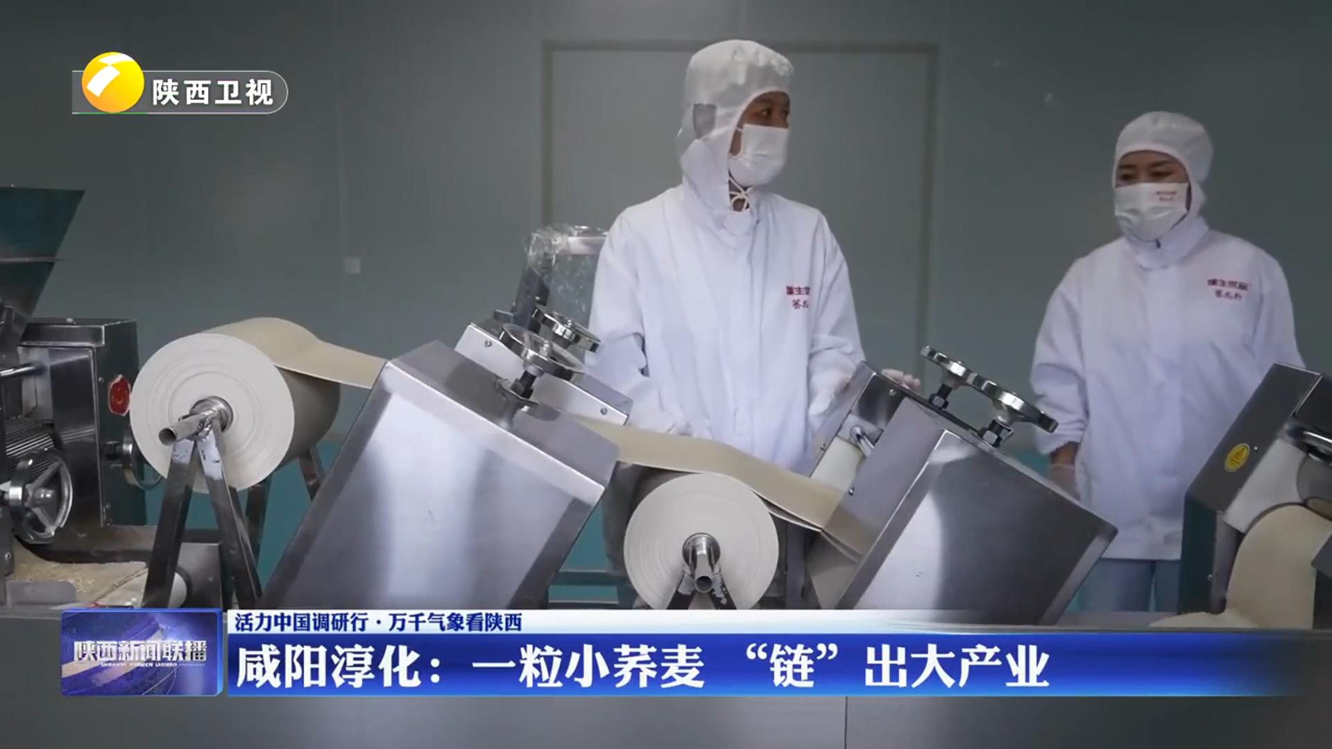 陕西淳化：一粒小荞麦 “链”出大产业