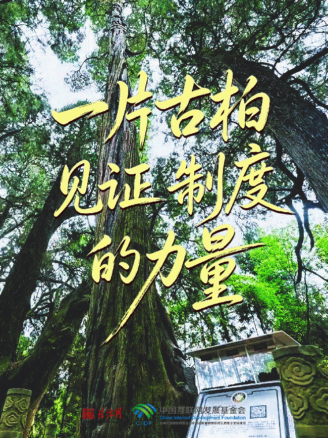 239bcc82ce88aa950d77a7ab6d9ec34c.png