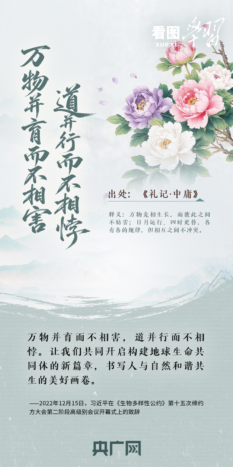 6aea0bb363b379a152bac595080691e9.png