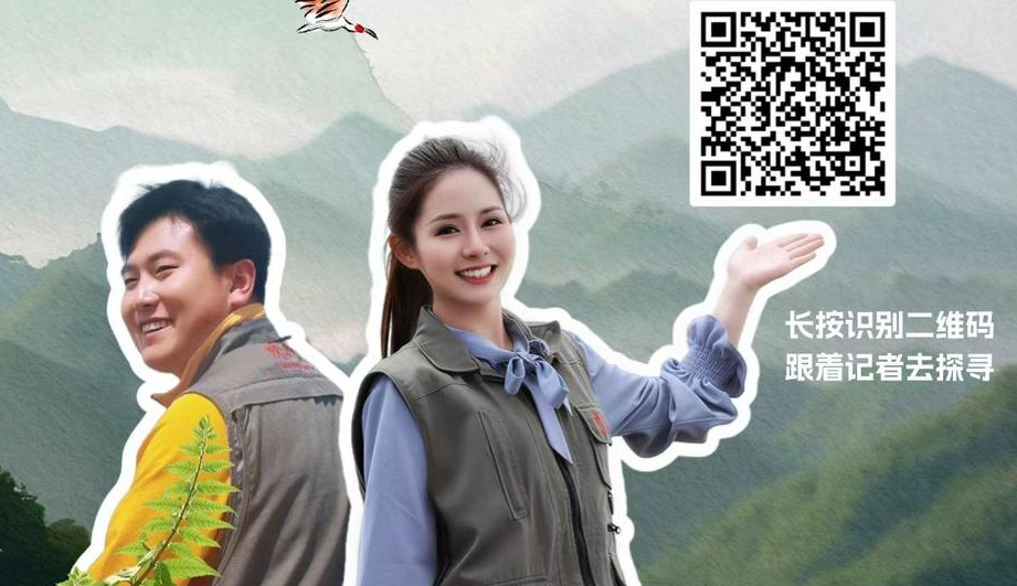 创意互动 | 护岭记