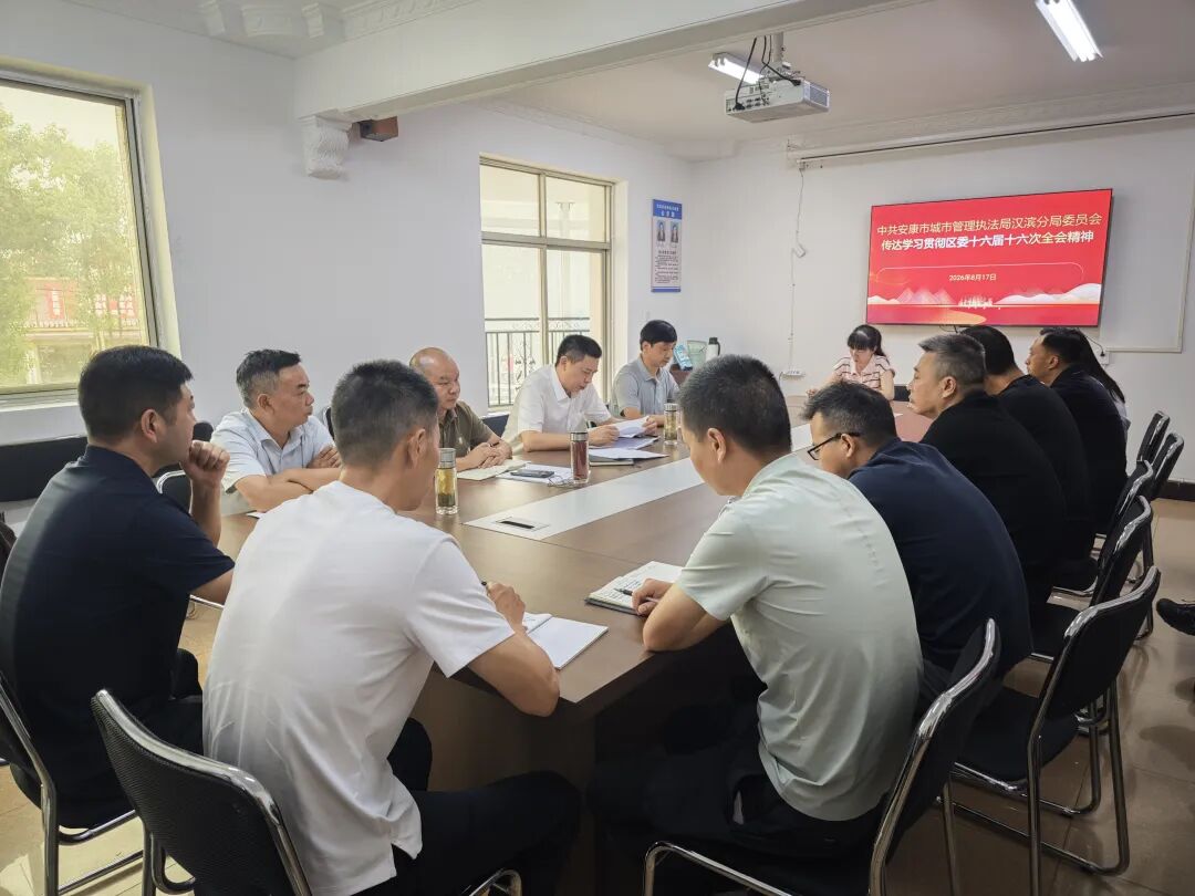 深学细悟全会精神 实干担当赋能城市治理