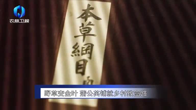 农村大市场 (2026-08-22)
