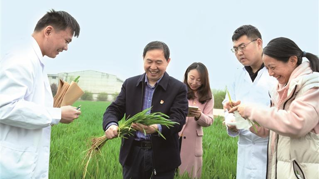 把根扎进泥土，把一生交给麦田 ——记“三秦楷模”康振生