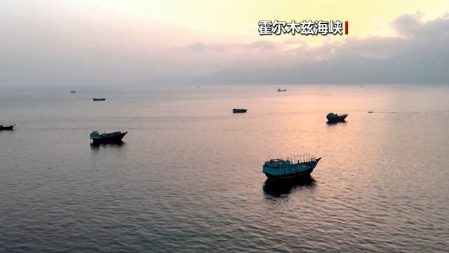 伊朗副外长：未经协调任何船只无法通过霍尔木兹海峡