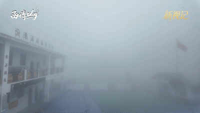 801cdae3e3d17645d0577f633330365a.gif