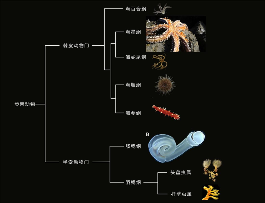 b7f8529898aa002680e32ce2db9f5c72.png