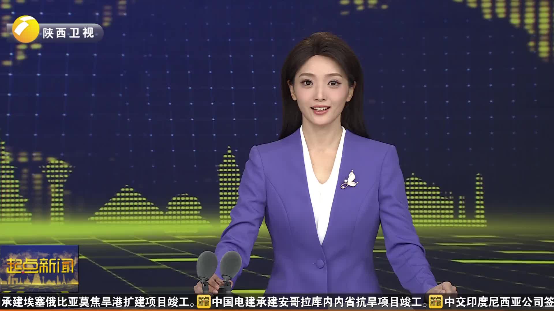 多国嘉宾在陕西品历史 看科技 感受丝路起点新活力