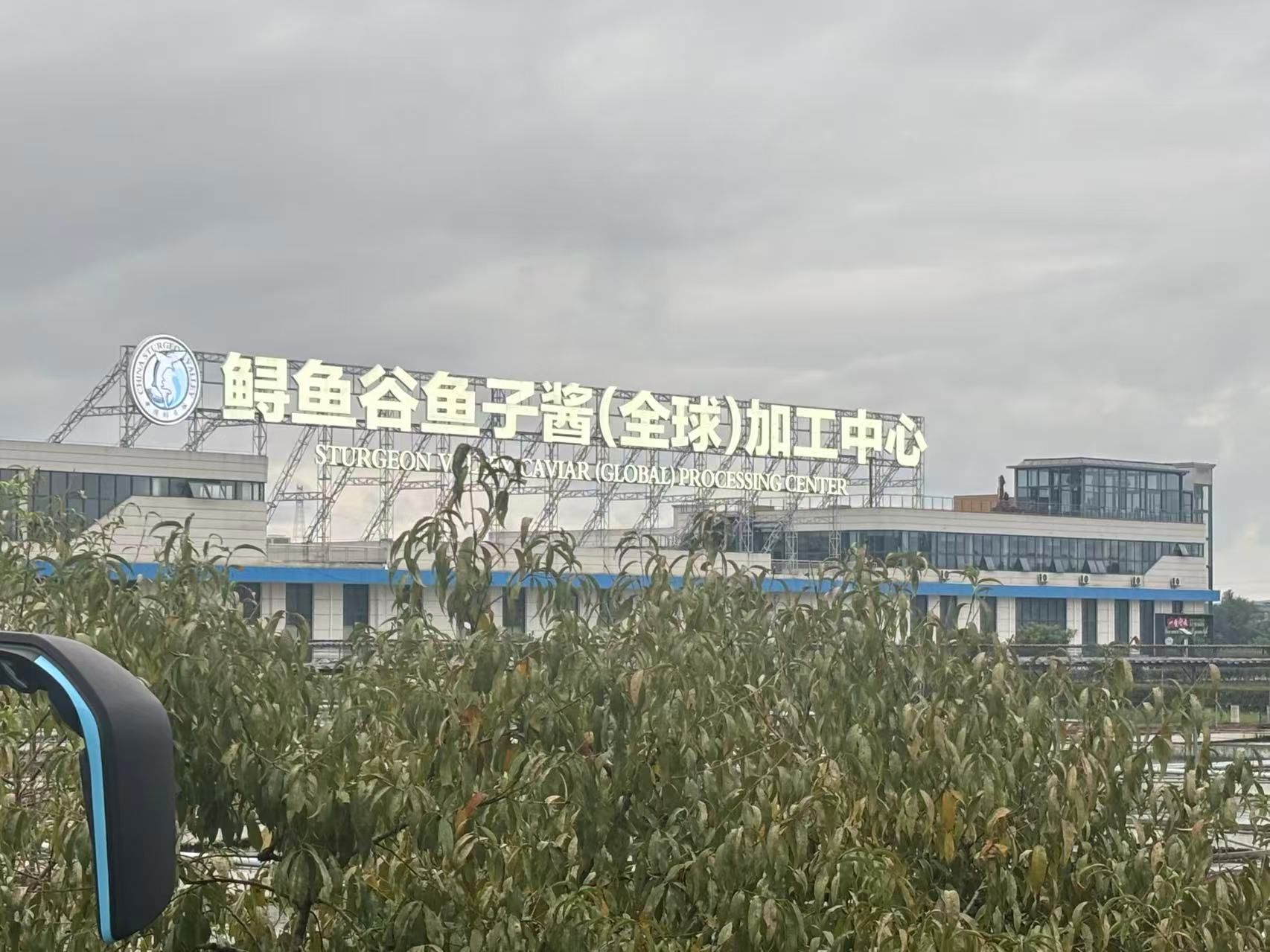 a8f54eccc5e72c5364224c453ce4ed76.jpeg