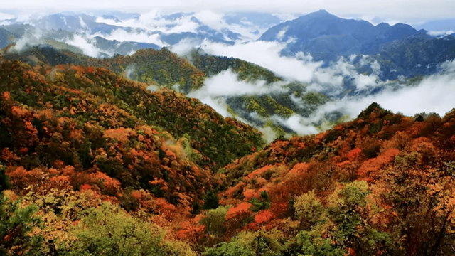 当好秦岭卫士 《陕西省秦岭生态环境保护条例（修订草案）》提请审议