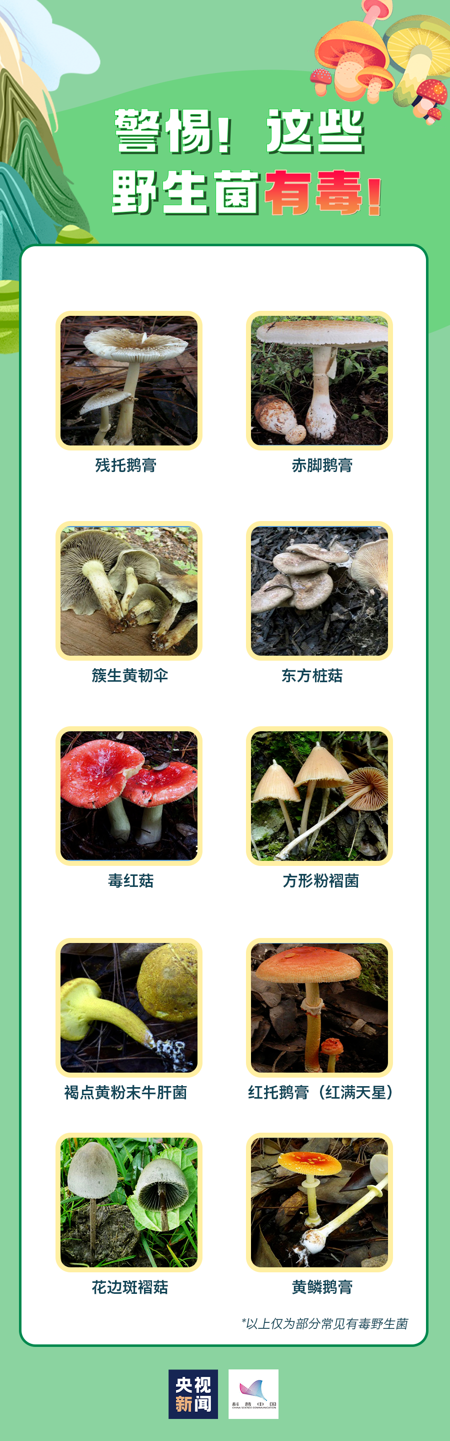 76e9eb45aede6f1bd67508df8fd43ba3.png
