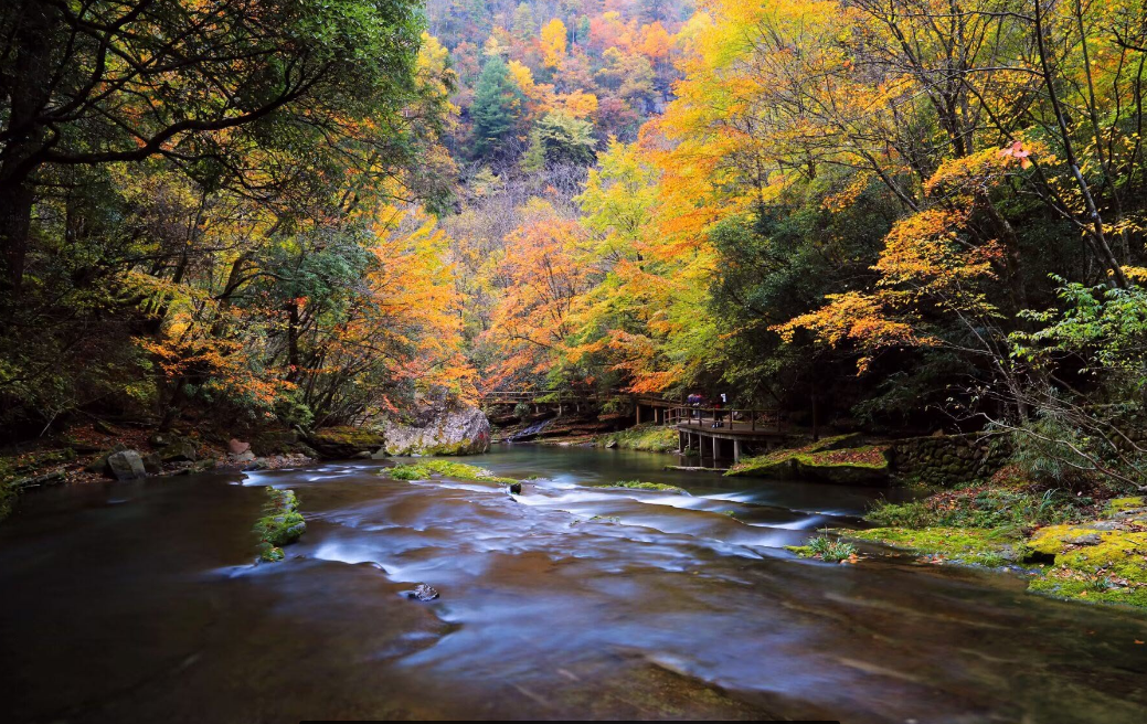 正在上传... c0346ff748b1742bd157464f2f71f16e.png