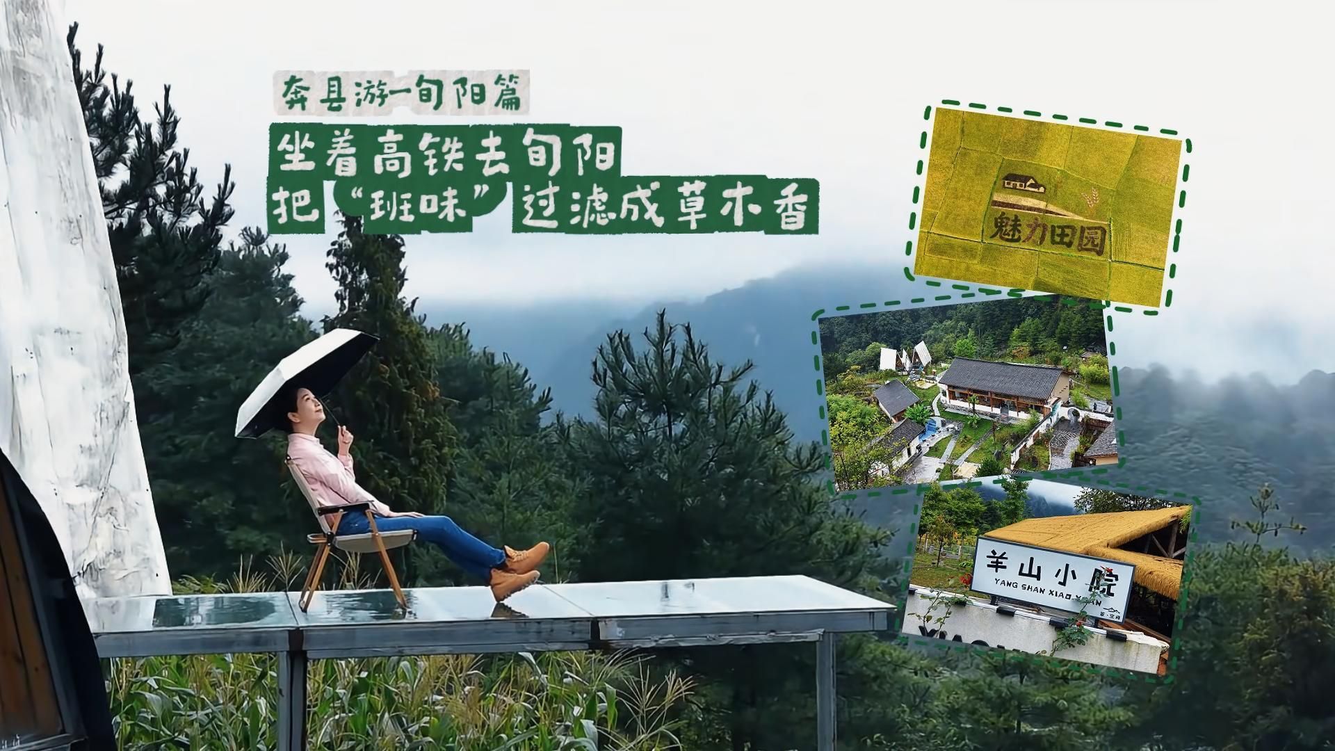 奔县游——旬阳篇：坐着高铁去旬阳 把“班味”过滤成草木香