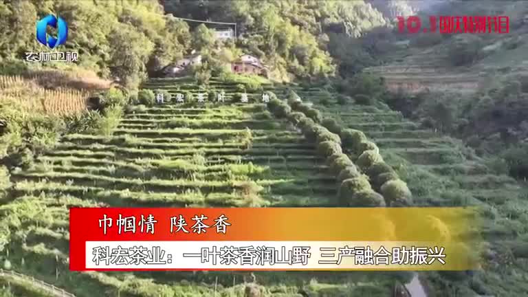 农村大市场 (2026-10-03)