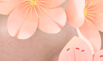 f211edc84fc37dca282377761598e4fb.png