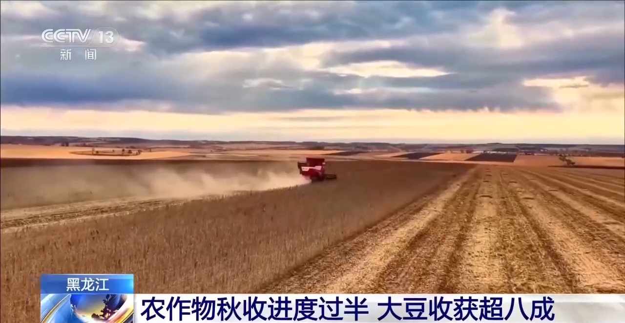 359ebf270196fc348b677c30ffbb8940.jpeg