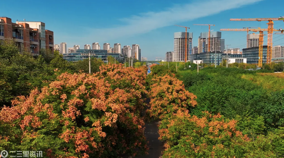 正在上传... cb155432f7c705980773e711f5790713.png