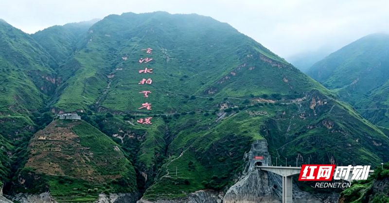 图片1.jpg 图片1.jpg