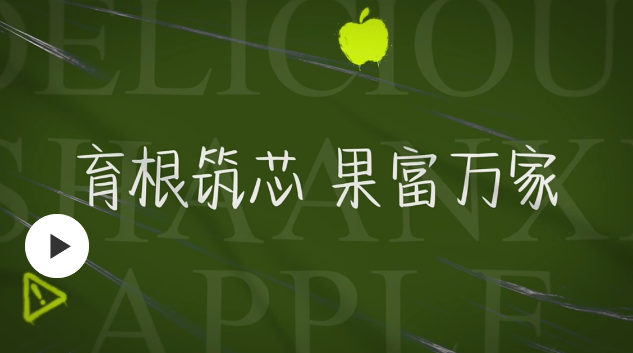 a7036c9e34d2521c909da2ff03d3d8f4.png