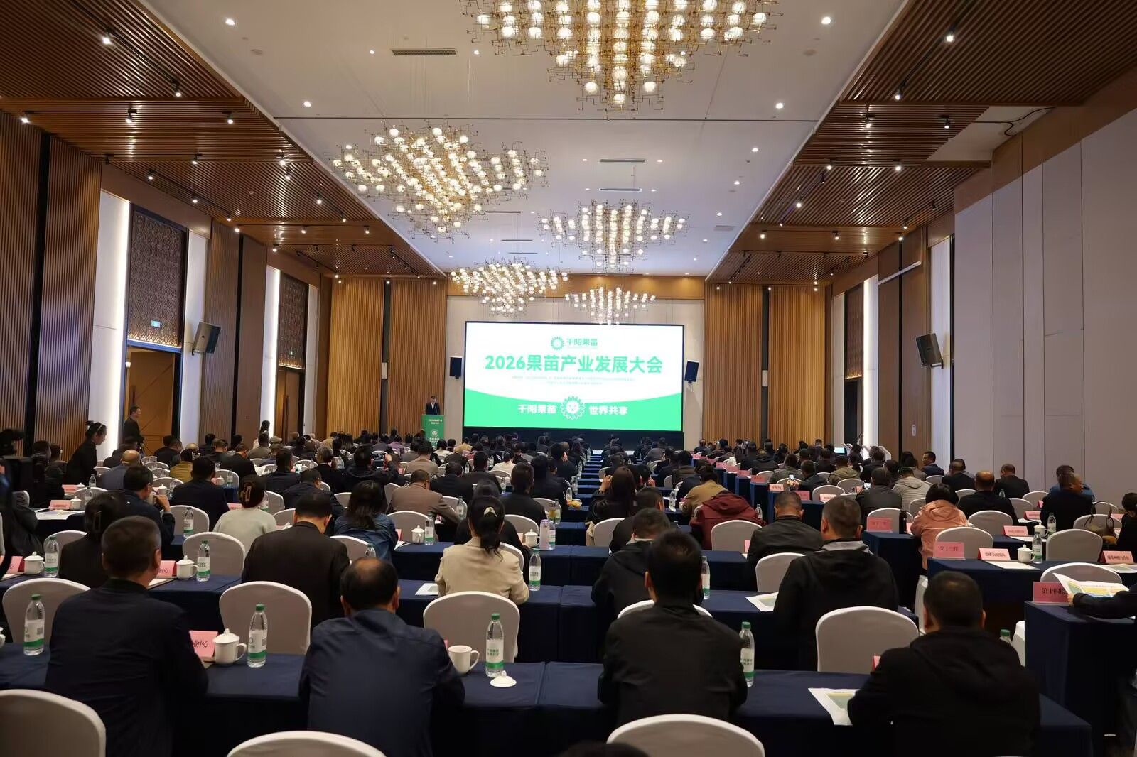 千阳聚力打造全国苹果苗木集成服务高地果苗全产业链产值超30亿元(图1)