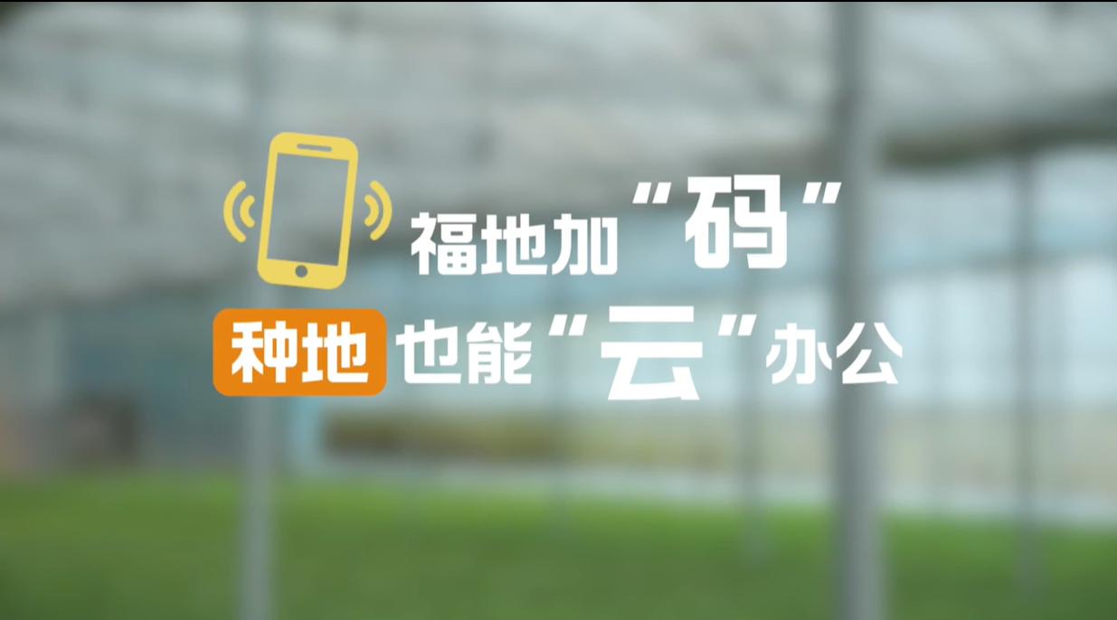 【理响中国·幸福有“理”】福地加“码”，种地也能“云”办公