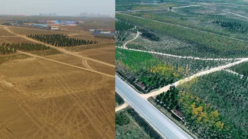 雄安新区20年gdp_雄安新区(2)