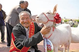 千阳县举办奶山羊大赛 一只羊卖了1.7万元