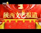 陕西文艺（2020-04-13）