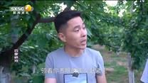 百家碎戏 我们村的美女主播