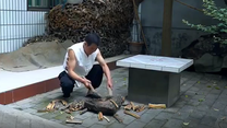 [百家碎戏] 翡翠也疯狂 (二)