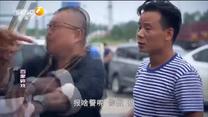 百家碎戏 翡翠也疯狂
