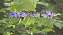 百家碎戏 姨妈认了错