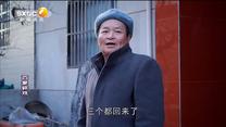 百家碎戏 老爸的一张彩票