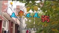 百家碎戏 是车不是驹