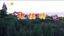 百家碎戏 老模特