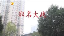 百家碎戏 取名大战