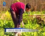 农村大市场 认养农业 两新田园 推动太乙宫农业新升级