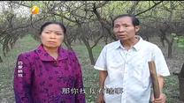 百家碎戏 穷爸爸 富妈妈