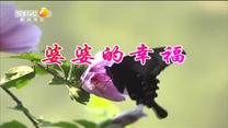 百家碎戏 婆婆的幸福
