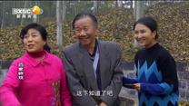 百家碎戏 儿媳招亲