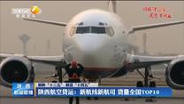 【回眸“十三五” 展望“十四五”】陕西航空货运：新航线新航司 货量全国TOP10