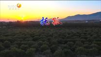 百家碎戏 托孤