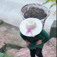 玫瑰姑娘丁小慧