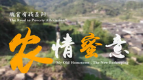 农情蜜意