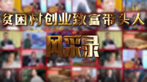 贫困村创业致富带头人风采录——杨淑亭
