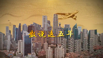 数说这五年