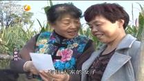 百家碎戏 小村大事件