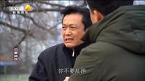 百家碎戏 卧底老爸