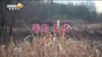 百家碎戏 善良无价