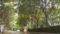 百家碎戏 拉票拉来了情敌