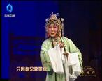 秦之声大剧院 （2021-05-17）